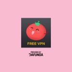 Tomato Free VPN