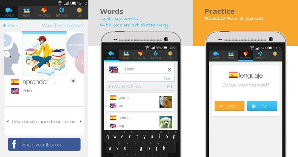 Download Lingualy – Practice A Language