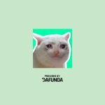 Best Cat Stickers for Chat WhatsApp